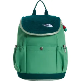 The North Face Y MINI EXPLORER grün