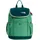 The North Face Y MINI EXPLORER grün