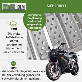 Baumarktplus DREIBREIT By TRUTZHOLM 3-Fach Auffahrrampe Klappbar Länge 215cm
