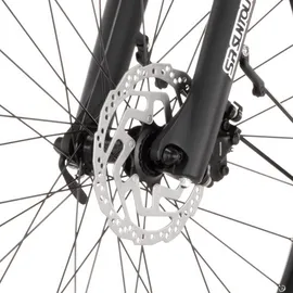 Fischer TERRA 2.2 29 Zoll RH 50 cm Unisex grau