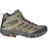GTX Herren Olive 43