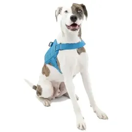 Kurgo RSG Townie Hundegeschirr Küstlenblau M