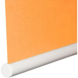 SUNLINES Seitenzugrollo One size Style Peach 82 x 180 cm orange