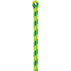 Petzl Baumkletterseil Control 12,5 mm, grün