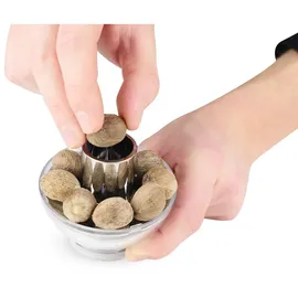 Peugeot Tidore Muskatmühle