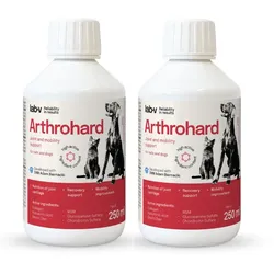 Lab-v Arthrohard – Umfassende Unterstützung für die Gelenkgesundheit von Hunden und Katzen 2x250 ml