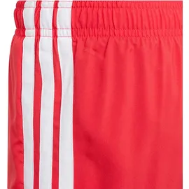 adidas 3 Stripes Badeshorts Pure Ruby/White 15-16 Jahre