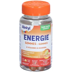 Alvityl Energie Gommes