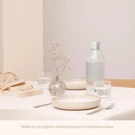 Wassersprudler-Flasche 1 L Transparent/silber