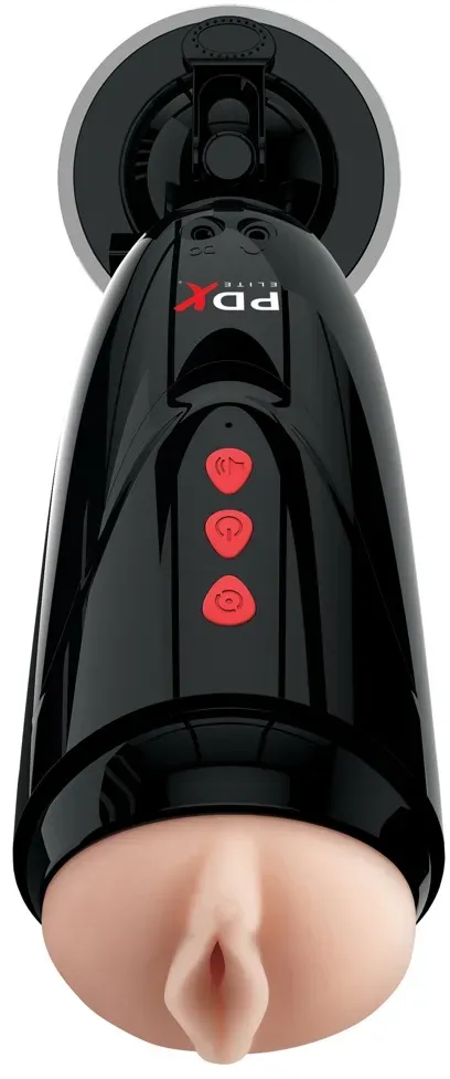 Dirty Talk Starter Stroker