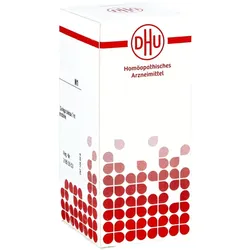 Ginkgo Biloba D6 Tabletten