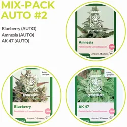 Mix Pack Automatik #2 | 9 Samen
