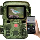 casativo-tech Wildkamera 2K Grün