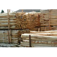 Gartenwelt Riegelsberger Zaunpfahl gespitzt Ø 5-7 cm Länge 195 cm Kastanienholz französische Kastanie Zaunlatte Zaunbretter