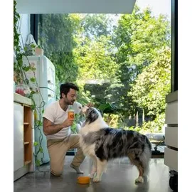 Edgard & Cooper Huhn & Truthahn Adult 6 x 400 g