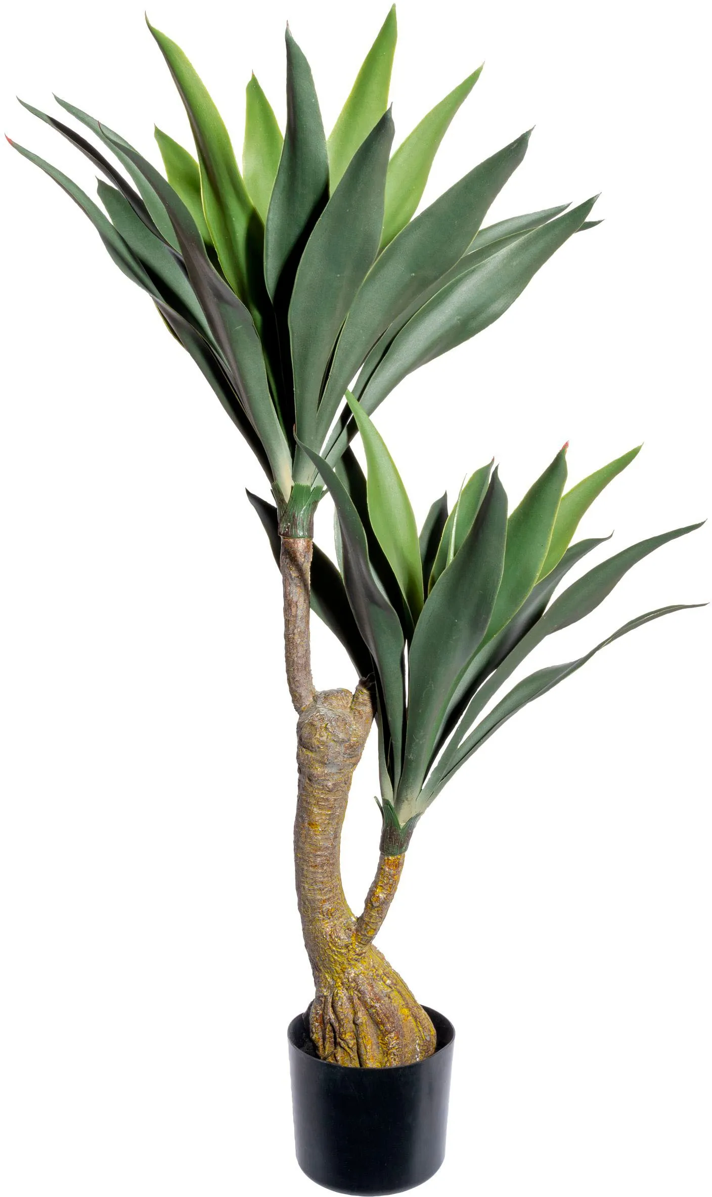 Creativ green Künstliche Zimmerpflanze »Dracaena« Creativ green grün