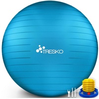 TRESKO Gymnastikball mit GRATIS Übungsposter inkl. Luftpumpe - 65cm, Pumpe, blau