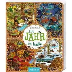 Ein Jahr im Wald Buch 1 St