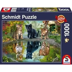 SCHMIDT SPIELE 57392 PUZZLE 1000 Teile - Dream Big!