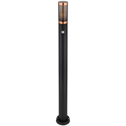 Standleuchte Außenbeleuchtung Stehleuchte mit Bewegungsmelder Garten Edelstahl, App-Steuerung, 1x Smart RGB LED 10W 806Lm, DxH 7,6x110 cm