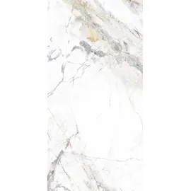 Euro Stone Bodenfliese Feinsteinzeug Caldera Silber 60 x 120 cm