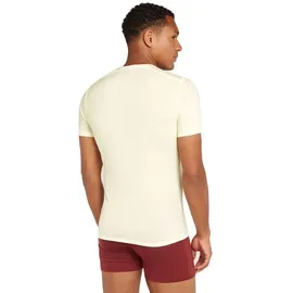 Icebreaker Anatomica Kurzarm-baselayer Undyed L