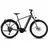 2026 28 Zoll RH 50 cm Diamant pearlgrey ́n ́grey