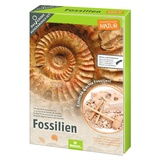 Moses Moses. Expedition Natur Das große Fossilien-Ausgrabungs-Set (009832)
