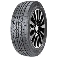 Doublestar WINTERKING DW02 225/75R15 102T BSW