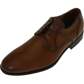 LLOYD Osmond braun 40