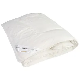 Traumschloss Premium Faserbettdecke normal 135 x 200 cm Maximum an Volumen, Anschmiegsambarkeit und Feuchtigkeitsmanagement - Weiß
