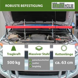 Trutzholm Werkstattkran Stahl rot Tragkraft 300 kg verstellbar