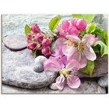 Artland Wandbild »Apfelblüten«, Blumen, (1 St.), als Leinwandbild, Poster, Wandaufkleber in verschied. Größen, pink