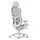 Fractal Design Refine Mesh Gaming-Stuhl Hellgrau