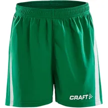 Craft Pro Control Shorts Grün 134