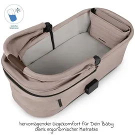 ABC-Design Salsa 5 Run Camel