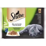 Sheba Delicatezze Nassfutter für Katzen, gemischte Auswahl in Gelatine, Fisch, Multipack (13 Boxen x 4 Beutel x 85 g)