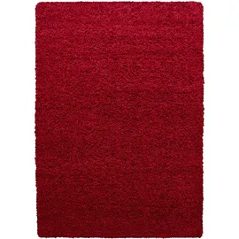 KADIMA DESIGN Hochflorteppich, RHEIN, einfarbig, Rot, 300 x 400 cm