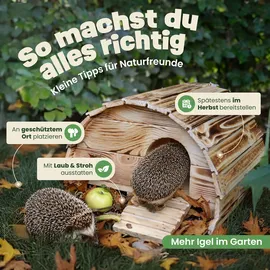 zooprinz Igelhaus Knut