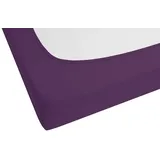 biberna 0077144 Feinjersey 180 x 200 - 200 x 200 cm dunkelviolett