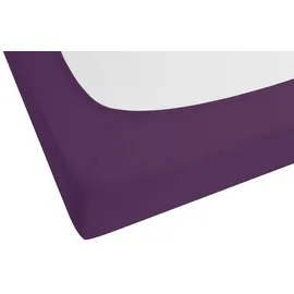biberna 0077144 Feinjersey 180 x 200 - 200 x 200 cm dunkelviolett