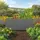 Konifera Emmy 150 x 60 x 80 cm Grau