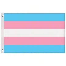 Gravidus LGBTQ+ Flagge 150x90cm mit Ösen – 8 Varianten zur Auswahl