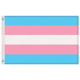 Gravidus LGBTQ+ Flagge 150x90cm mit Ösen – 8 Varianten zur Auswahl