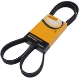 Continental Keilrippenriemen 6PK1538