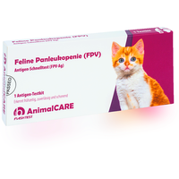 Feline Panleukopenie FPV Antigen-Schnelltest Test Schnell-Test