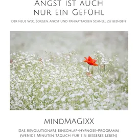 Maravillosos Conceptos & Ideas Mallorca Angst ist auch nur ein Gefühl: Der neue Weg Sorgen Angst und Panikattacken schnell zu beenden von Patrick Lynen / Maravillosos Conceptos & Ideas Mallo
