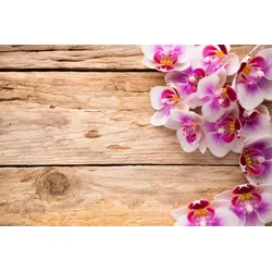 Fototapete PAPERMOON "Blumen auf holz", bunt, B:2,50m L:1,86m, Vlies, Tapeten