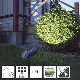 Star Trading Powerspot,