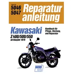 Bucheli Reparatur-Anleitungen Old- und Youngtimer